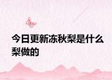 今日更新凍秋梨是什么梨做的