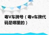 粵V車牌號(hào)（粵v車牌代碼是哪里的）