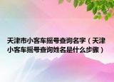 天津市小客車搖號(hào)查詢名字（天津小客車搖號(hào)查詢姓名是什么步驟）