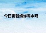 今日更新螞蚱喝水嗎