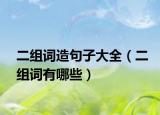 二組詞造句子大全（二組詞有哪些）
