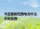 今日更新巴西龜為什么不吃東西