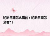 輪胎日期怎么看的（輪胎日期怎么看?）