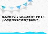 在高速路上走了應(yīng)急車道該怎么處罰（不小心在高速應(yīng)急車道跑了下會(huì)怎樣）