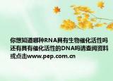 你想知道哪種RNA具有生物催化活性嗎還有具有催化活性的DNA嗎請查閱資料或點擊www.pep.com.cn