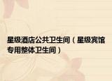 星級酒店公共衛(wèi)生間（星級賓館專用整體衛(wèi)生間）