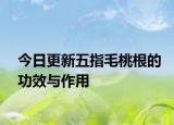 今日更新五指毛桃根的功效與作用