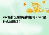 vsc是什么奢侈品牌縮寫（vsc是什么故障燈）