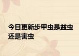 今日更新步甲蟲是益蟲還是害蟲