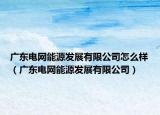 廣東電網能源發(fā)展有限公司怎么樣（廣東電網能源發(fā)展有限公司）