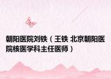 朝陽醫(yī)院劉鐵（王鐵 北京朝陽醫(yī)院核醫(yī)學(xué)科主任醫(yī)師）