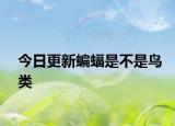 今日更新蝙蝠是不是鳥類