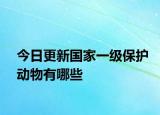 今日更新國家一級(jí)保護(hù)動(dòng)物有哪些