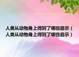 人類從動物身上得到了哪些啟示（人類從動物身上得到了哪些啟示）