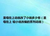 圣母在上動畫改了小說多少卷（圣母在上 輕小說改編的系列動畫）