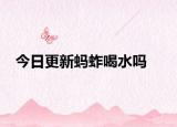 今日更新螞蚱喝水嗎