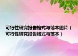 可行性研究報(bào)告格式與范本圖片（可行性研究報(bào)告格式與范本）