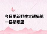 今日更新野生大熊貓第一縣是哪里
