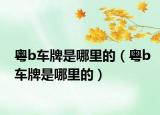 粵b車牌是哪里的（粵b車牌是哪里的）