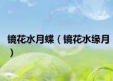 鏡花水月蝶（鏡花水緣月）