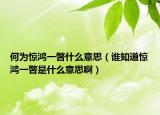 何為驚鴻一瞥什么意思（誰知道驚鴻一瞥是什么意思?。? /></span></a>
                        <h2><a href=