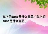 車上的tune是什么意思（車上的tune是什么意思）