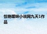 驚艷曖昧小說網(wǎng)九天1作品