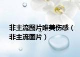 非主流圖片唯美傷感（非主流圖片）