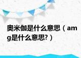 奧米伽是什么意思（amg是什么意思?）