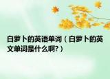 白蘿卜的英語(yǔ)單詞（白蘿卜的英文單詞是什么啊?）