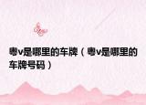 粵v是哪里的車(chē)牌（粵v是哪里的車(chē)牌號(hào)碼）