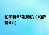 帕薩特B5發(fā)動(dòng)機(jī)（帕薩特B5）