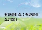 五證是什么（五證是什么介紹）