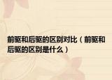 前驅(qū)和后驅(qū)的區(qū)別對比（前驅(qū)和后驅(qū)的區(qū)別是什么）