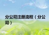 分公司注冊流程（分公司）