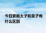今日更新太子和皇子有什么區(qū)別