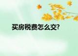 買房稅費怎么交?