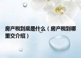 房產(chǎn)稅到底是什么（房產(chǎn)稅到哪里交介紹）