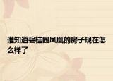 誰知道碧桂園鳳凰的房子現(xiàn)在怎么樣了