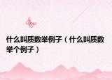 什么叫質(zhì)數(shù)舉例子（什么叫質(zhì)數(shù) 舉個(gè)例子）