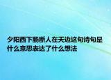 夕陽西下腸斷人在天邊這句詩句是什么意思表達(dá)了什么想法