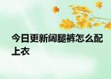 今日更新闊腿褲怎么配上衣