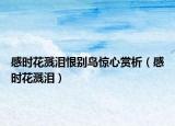 感時(shí)花濺淚恨別鳥(niǎo)驚心賞析（感時(shí)花濺淚）
