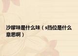 沙嗲味是什么味（s擋位是什么意思?。? /></span></a>
                        <h2><a href=