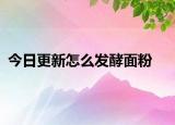 今日更新怎么發(fā)酵面粉