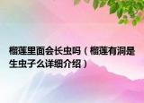 榴蓮里面會(huì)長(zhǎng)蟲(chóng)嗎（榴蓮有洞是生蟲(chóng)子么詳細(xì)介紹）