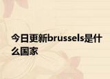 今日更新brussels是什么國家