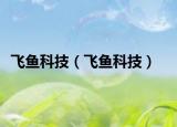 飛魚科技（飛魚科技）