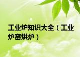 工業(yè)爐知識大全（工業(yè)爐窯烘爐）