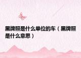 黑牌照是什么單位的車（黑牌照是什么意思）